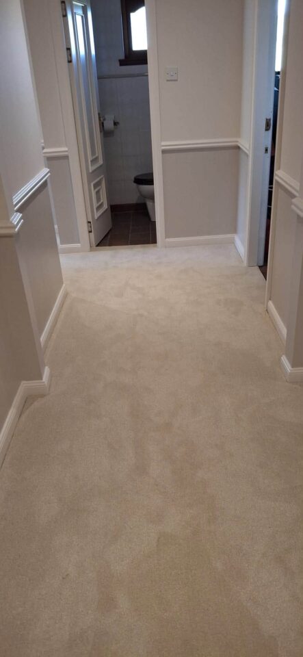 A lovely light looking carpet from Cormar Carpets  Zenith 03