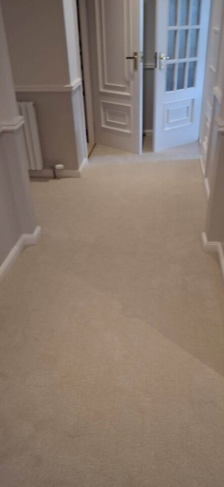 A lovely light looking carpet from Cormar Carpets  Zenith 07